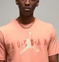 Футболка мужская Air Jordan Air Wm Tee Orange Ck4212-827