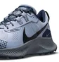 Кросівки чоловічі Nike Pegasus Trail 3 Grey Da8697-003