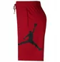 Шорты мужские Air Jordan Jumplogo Shorts Red Db1812-687