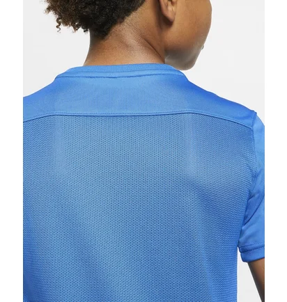 Футболка детская Nike Y Nk Df Park Vii Jsy Ss Blue Bv6741-463