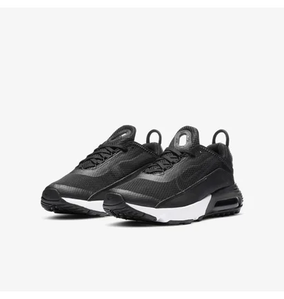 Кросівки дитячі Nike Air Max 2090 Gs Black Dd3236-001
