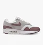 Кросівки жіночі Nike Air Max 1 Woshoes Grey/Brown DZ2628-104