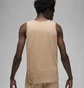 Майка чоловіча Air Jordan Essentials Beige FJ2083-200