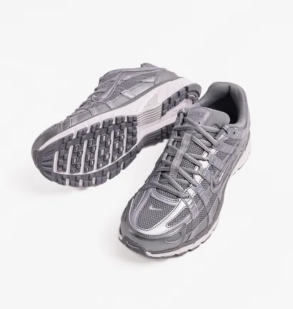 Кросівки чоловічі Nike P-6000 Metallic CD6404-023