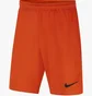 Шорты детские Nike Park Iii Orange Bv6865-819