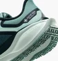 Кросівки жіночі Nike Pegasus 41 Gore Tex Turquoise FQ1357-003