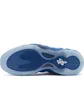 Кроссовки мужские Nike Air Foamposite One Sneaker Blue/Black FQ8181-511