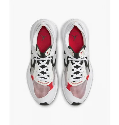Кроссовки мужские Air Jordan Delta 3 Low Grey Dn2647-160