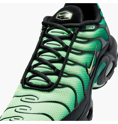 Кроссовки мужские Nike Air Max Plus Green DM0032-301