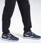 Штани чоловічі Reebok Street Fighter Black Hu1698