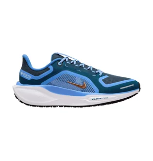 Кросівки жіночі Nike Pegasus 41 Gore Tex Blue FQ1357-400