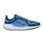 Кросівки жіночі Nike Pegasus 41 Gore Tex Blue FQ1357-400