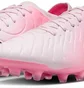Бутсы унисекс Nike Legend 10 Pro Fg Pink DV4333-601