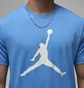 Футболка мужская Air Jordan M J Jumpman Ss Crew Light Blue CJ0921-469
