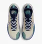 Кроссовки мужские Nike React Pegasus Trail 4 Gtx Beige Dj7926-100