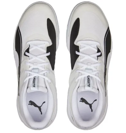 Кросівки чоловічі Puma Eliminate Pro Ii White 10688002