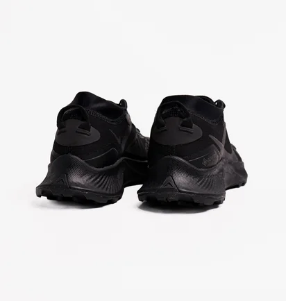 Кроссовки мужские Nike Pegasus Trail 3 Gtx Black DC8793-001