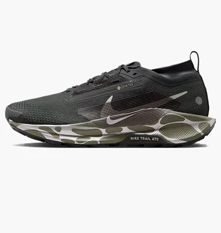 Кросівки чоловічі Nike Reactx Pegasus Trail 5 Gtx Grey IM6007-060