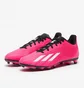 Бутсы унисекс Adidas X Speedportal.4 Fg Pink GZ2461