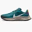 Кросівки чоловічі Nike Pegasus Trail 3 Blue DA8697-300