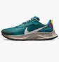 Кросівки чоловічі Nike Pegasus Trail 3 Blue DA8697-300