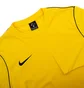 Лонгслів чоловічий Nike M Dry Park20 Crew Top Yellow BV6875-719