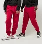 Штаны мужские Air Jordan Essential Fleece Pants Red FV7277-687