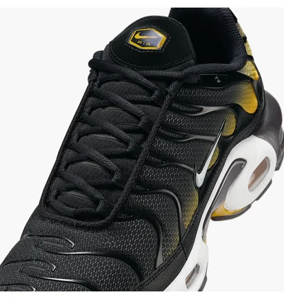 Кроссовки мужские Nike Air Max Plus Black DM0032-013