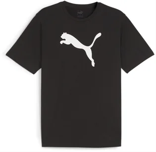 Футболка чоловіча Puma Teamrise Logo Jersey Cotton Black 658705-03