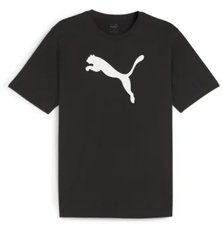 Футболка мужская Puma Teamrise Logo Jersey Cotton Black 658705-03