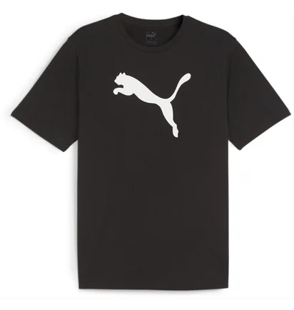 Футболка мужская Puma Teamrise Logo Jersey Cotton Black 658705-03