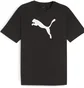 Футболка мужская Puma Teamrise Logo Jersey Cotton Black 658705-03