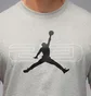 Футболка чоловіча Air Jordan Df Sprt 23Ss Grey HV1876-050