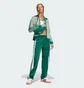 Штаны женские Adidas Adicolor Adibreak Green JD0852