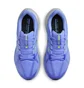 Кроссовки мужские Nike Air Zoom Structure 25 Blue DJ7883-402