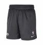 Шорти чоловічі Nike Brooklyn Nets Grey Dn8222-060