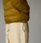 Пуховик мужской The North Face Hydrenalite Olive NF0A88XU