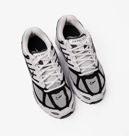 Кроссовки мужские Nike Air Pegasus 2005 White/Grey FJ1909-100