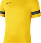 Футболка чоловіча Nike Academy 21 Dry Ss Tee Yellow Cw6101-719