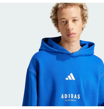 Худи мужское Adidas All Szn Fleece Graphic Sportswear Blue JJ3667
