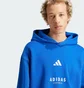 Худи мужское Adidas All Szn Fleece Graphic Sportswear Blue JJ3667