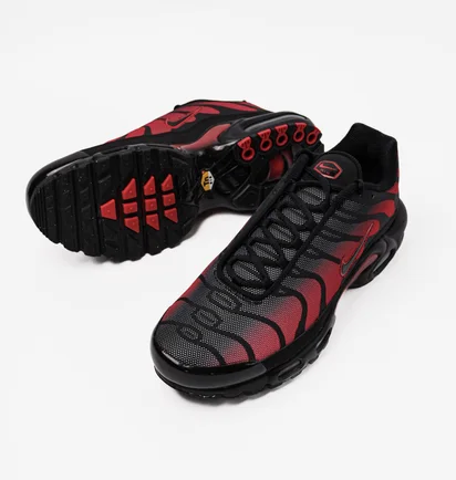 Кросівки чоловічі Nike Air Max Plus Black DZ4507-600