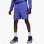Шорты мужские Air Jordan Dri-Fit Sport Violet Dv9789-430