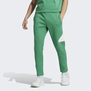 Штаны мужские Adidas Future Icons Badge Of Sport Pants Green IC3763