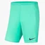 Шорты мужские Nike Dry Park Iii Short Nb K Turquoise Bv6855-354