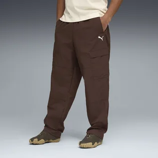Штаны мужские Puma Wardrobe Ess Relaxed Brown 629653-31
