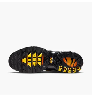 Кроссовки мужские Nike Air Max Plus Black IH4459-010