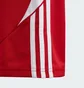 Шорты детские Adidas Tiro 24 Red IR9367