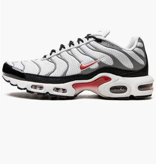 Кроссовки мужские Nike Air Max Plus White/Grey DM0032-002