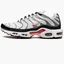 Кросівки чоловічі Nike Air Max Plus White/Grey DM0032-002
